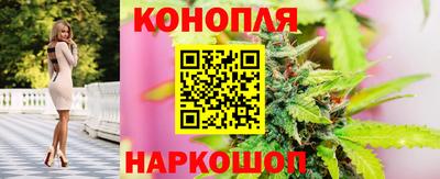 прущие грибы Нягань