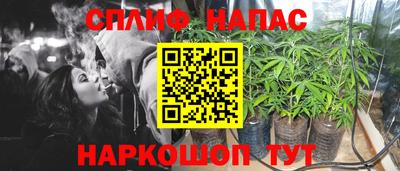 прущие грибы Нягань