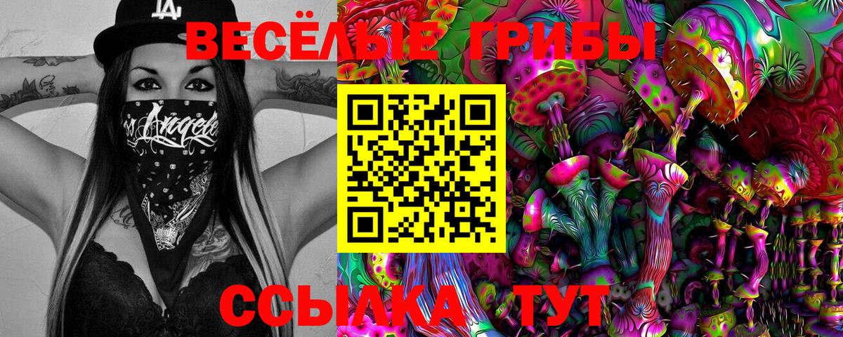 Псилоцибиновые грибы прущие грибы  Вход с VPN  Сокол 