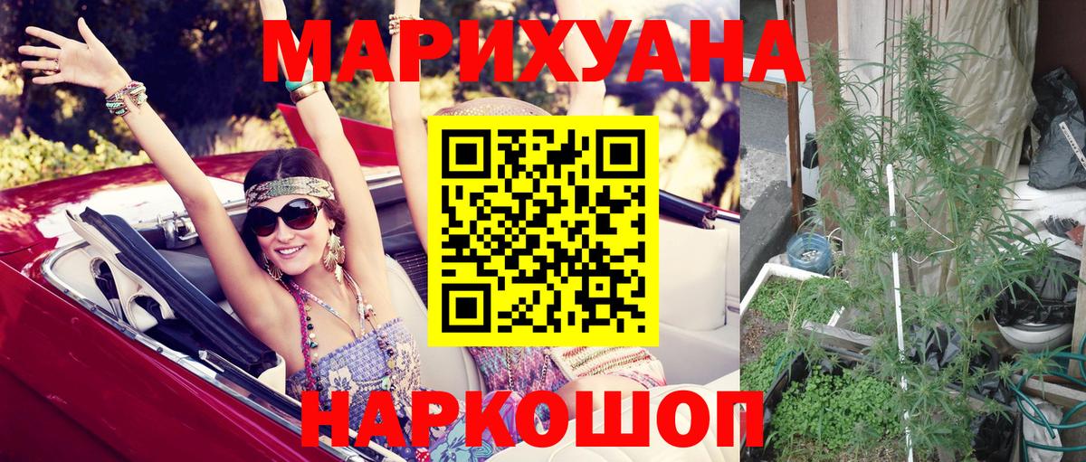 Конопля тримм  МАРИХУАНА THC 21%  Сокол  Вход с VPN  Бошки марихуана SATIVA & INDICA 